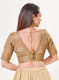 Tissue Zari Lines Embroidery V Neck Elbow Blouse