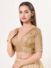 Tissue Zari Lines Embroidery V Neck Elbow Blouse