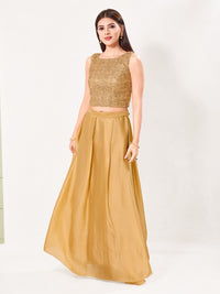Golden Embroidery Crop Top Sleeveless