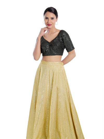 Sequence Zig Zag Lines Embroidery Paan Neck Bvlouse