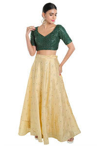 Sequence Zig Zag Lines Embroidery Paan Neck Bvlouse
