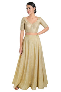 Sequence Zig Zag Lines Embroidery Paan Neck Bvlouse