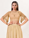 Net Umbrella Sleeves Blouse