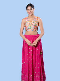 V Neck Multi Embroidery Sleeeveless Blouse