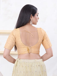 Metallic Tissue Sequence Embroidery Blouse