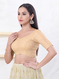 Metallic Tissue Sequence Embroidery Blouse