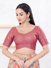 Metallic Tissue Sequence Embroidery Blouse