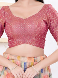 Metallic Tissue Sequence Embroidery Blouse