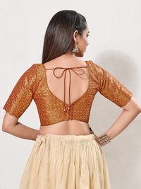 Metallic Tissue Sequence Embroidery Blouse