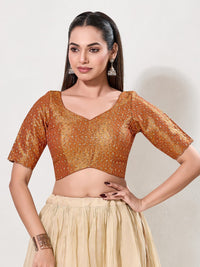 Metallic Tissue Sequence Embroidery Blouse