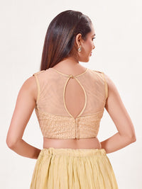 Designer Ner Blouse With Plain Net Neck Pattern
