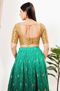 Tissue Vbutti Yoke Front Open Blouse
