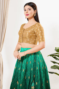 Tissue Vbutti Yoke Front Open Blouse
