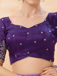 Zari Embroidered Sleeves Festive Blouse