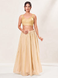 Tissue Katori Cut Designer Sleeveless Blouse