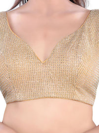 Shimmer Sleeveless Core Paan Neck Partywear Blouse
